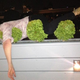 Young Madeleine at a Gawker party circa 2012. So much to learn, too young to know better.